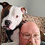 man, dog, glasses, bald, beard, brown_and_white_dog, indoor, couch, patterned_furniture, close_up, pet, companion, casual, portrait, face, curious, human, animal, friendship, leisure