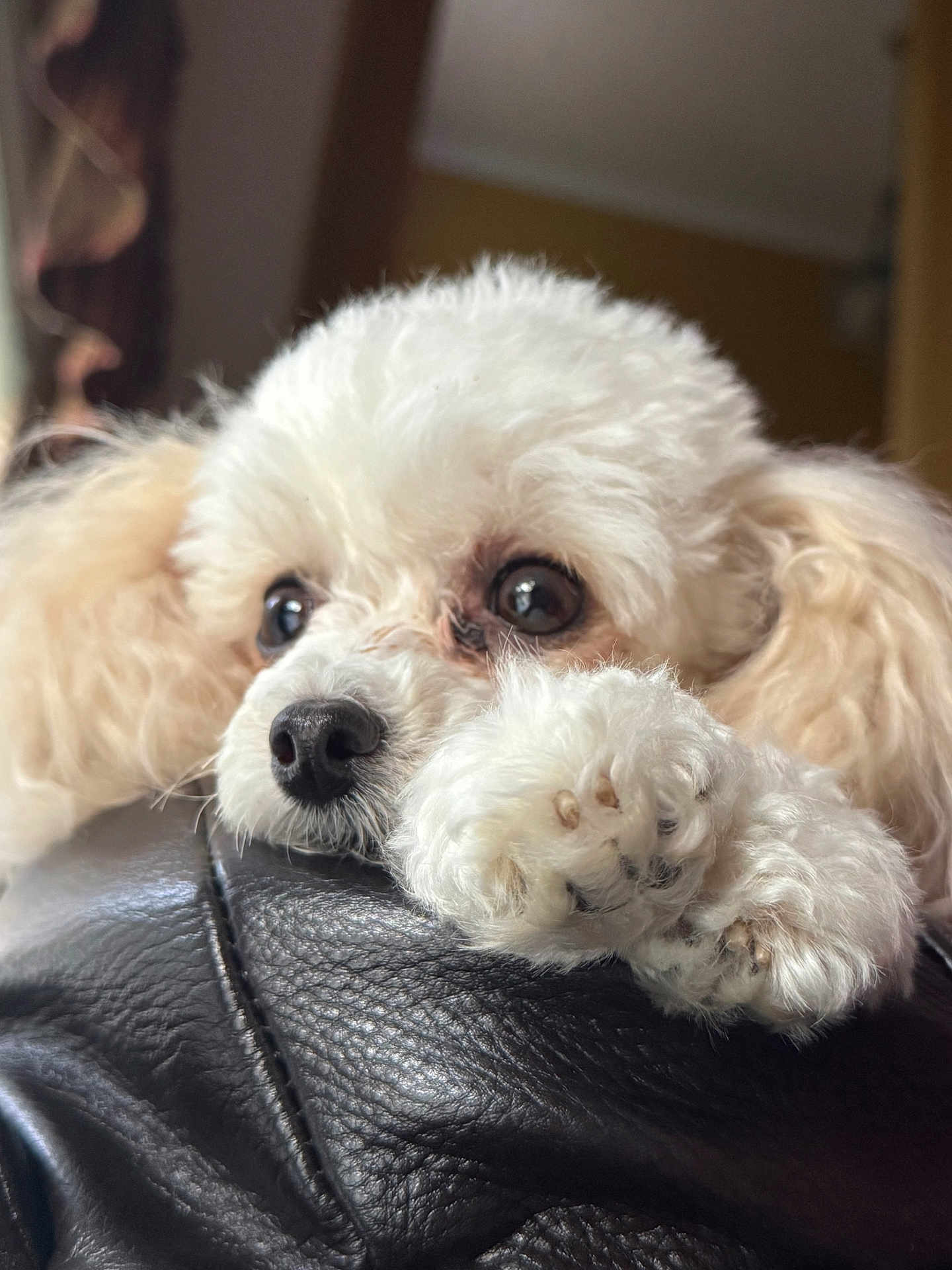 Sophie