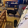 dog, black_dog, pet, standing, tongue, pointed_ears, living_room, indoor, tile_floor, sofa, blanket, television, entertainment_center, wicker_chair, home_decor, shelf, cushions, slipper, photograph, portrait