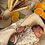 baby, blanket, onesie, green_socks, face, infant, vase, dried_grasses, oranges, seashells, starfish, table, indoor, soft_texture, relaxing, resting, cute, child, patterned_clothing, warm