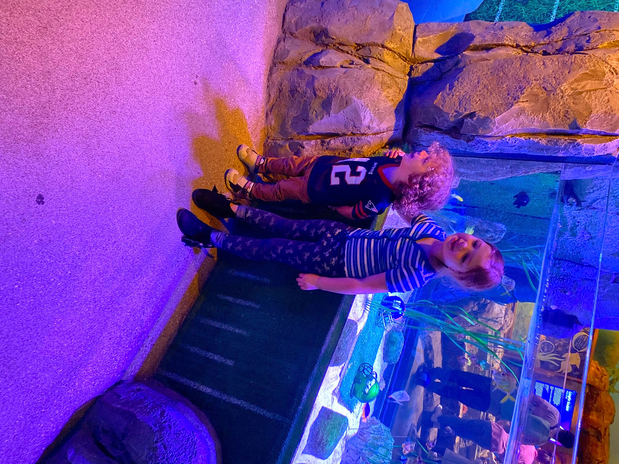 Elise is registered to the contest to win money with this photo: art, electric_blue, entertainment, event, fictional_character, fun, joy, leisure, magenta, night, person, purple, recreation, sky, space, tourist_attraction, tree, violet, visual_arts, water