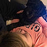 dog, person, indoor, curly_hair, black_dog, pink_shirt, resting, couch, carpet, close_up, relaxing, pet, companion, casual, human, animal, friendship, comfort, home, leisure