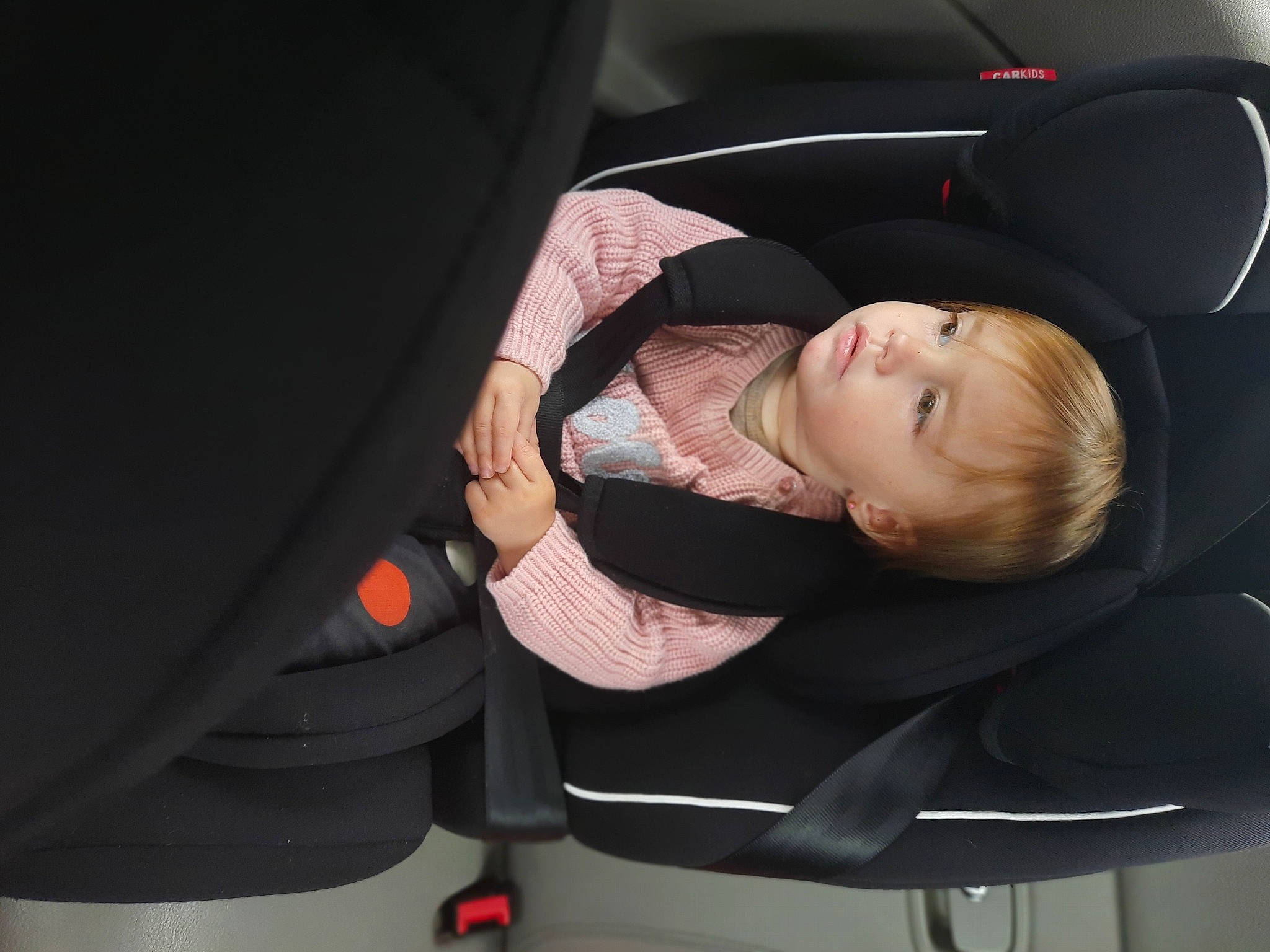 Yelena participe au concours pour gagner de l'argent avec cette photo : auto_part, baby, baby_carriage, baby_in_car_seat, baby_products, car_seat, car_seat_cover, child, comfort, family_car, head_restraint, nap, neck, person, plant, product, seat_belt, sleep, toddler