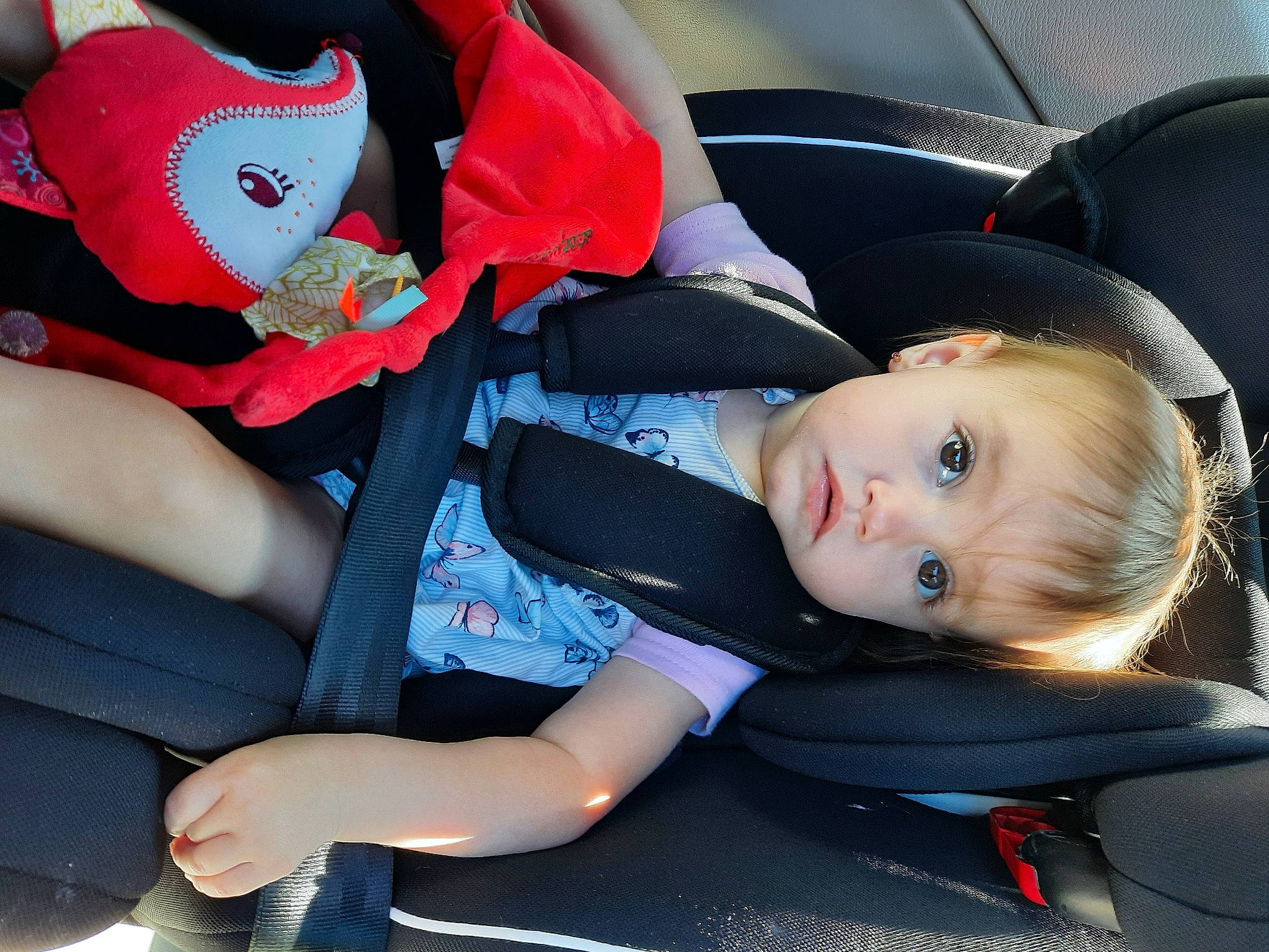 Yelena participe au concours pour gagner de l'argent avec cette photo : auto_part, baby, baby_carriage, baby_in_car_seat, baby_products, car_seat, car_seat_cover, child, lap, person, product, seat_belt, toddler