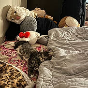 Mimi is registered to the contest to win money with this photo: kitten, sleeping, bed, blanket, plush_toys, sheep_plush, monkey_plush, hello_kitty_pillow, patterned_bedspread, gray_blanket, indoor, cozy, feline, resting, soft_toys, animal, cute, pet, furry, relaxing