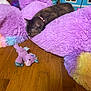 Maya joined the competition — help win amazing prizes! cat, sleeping, purple, stuffed_animal, plush, floor, wooden_floor, toy, unicorn, animal, pet, collar, indoor, relaxing, furry, cute, soft, cozy, resting, home