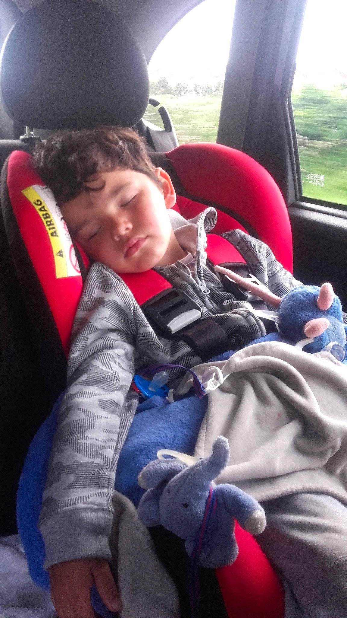 Ambre a rejoint le concours — aidez-le/la à gagner de superbes lots ! auto_part, car, car_seat, car_seat_cover, child, family_car, passenger, person, steering_wheel, vehicle