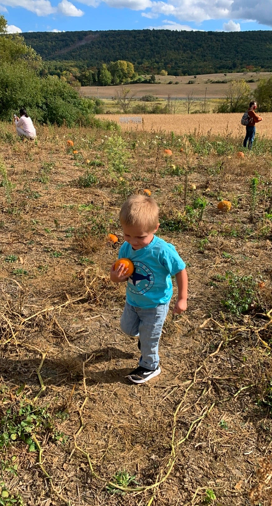 Brantley joined the competition — help win amazing prizes! adaptation, agriculture, botany, child, farmer, farmworker, field, grass, grass_family, grassland, groundcover, landscape, leaf, people_in_nature, person, plant, plantation, soil, spring, toddler