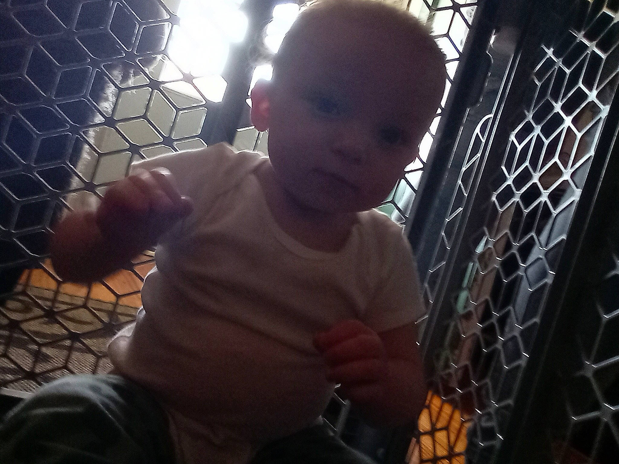 Tommy is registered to the contest to win money with this photo: arm, beauty, chest, child, cool, elbow, eye, facial_expression, fence, flash_photography, fun, happy, human_body, light, mesh, metal, muscle, net, person, toddler