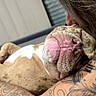 Cha Hae-In participe au concours pour gagner de l'argent avec cette photo : affection, arm, closeup, comfort, companion, cuddle, dog, fur, human, indoor, love, person, pet, pink_nose, relaxed, resting, skin, sleeping, snout, tattoo
