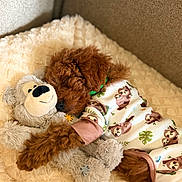 Bowie joined the competition — help win amazing prizes! puppy, dog, curly_hair, brown_fur, sleeping, cuddling, plush_toy, stuffed_animal, bear_toy, blanket, cozy, pajamas, sloth_pattern, green_collar, couch, indoors, portrait, cute, warm_lighting, relaxed
