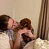 Bowie joined the competition — help win amazing prizes! woman, puppy, dog, pet, cuddling, bed, blanket, bedroom, portrait, curly_hair, brown_fur, small_dog, fluffy, indoors, cozy, sleeping_area, human, animal, warm_lighting, pet_owner