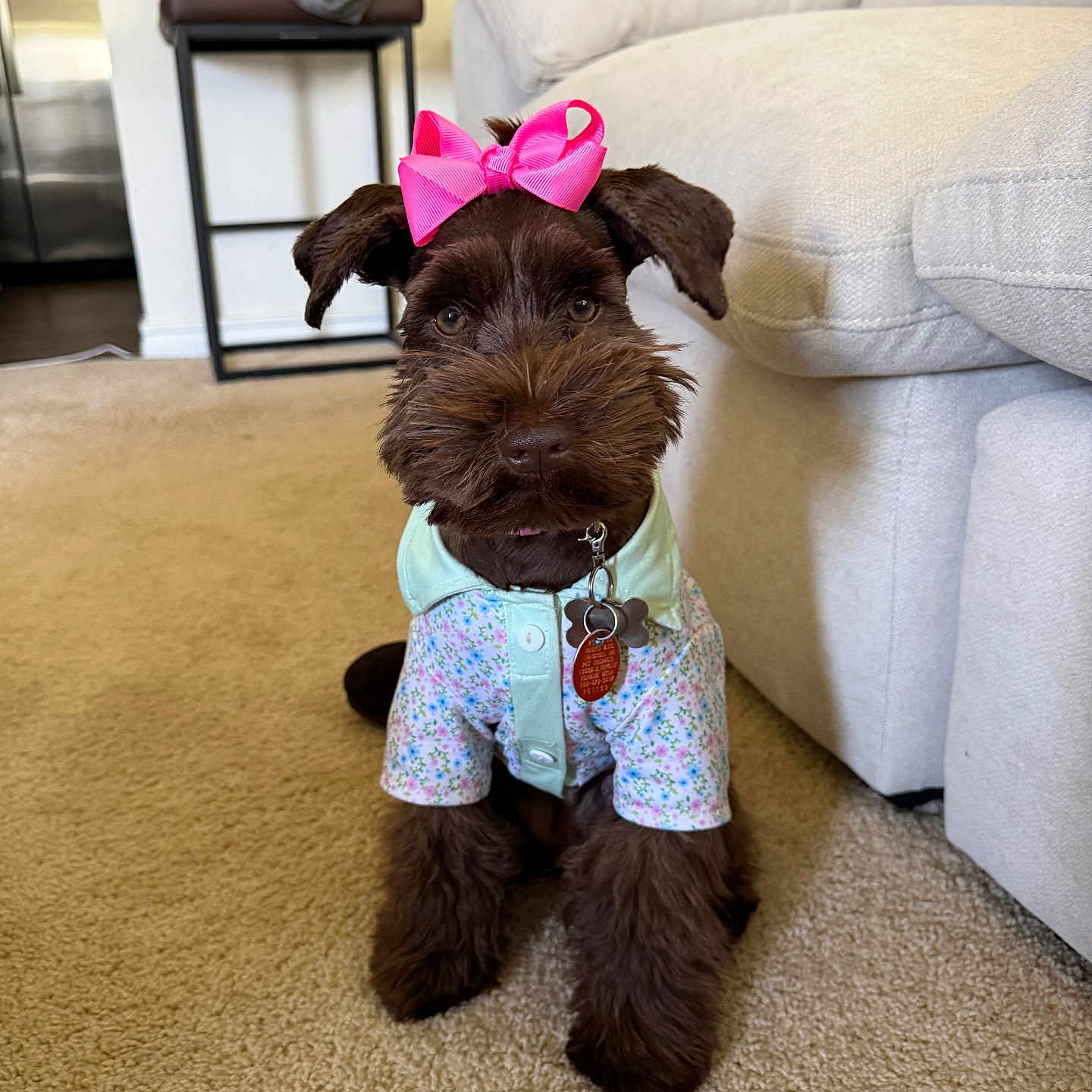 Coco Chanel