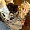 backpack, black_cat, colored_pencils, cozy, curious, cute, feline, floor, home, indoor, jeans, kitten, pencil_holder, pet, resting, small_animal, striped_lining, unzippered_bag, wooden_floor, zipper