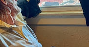 Skylar is registered to the contest to win money with this photo: beard, belt, casual_clothing, cat, contemplation, curtains, domestic, elderly_man, glasses, hands, home, indoor, light, peaceful, quiet, relaxing, seated, shadow, side_profile, window