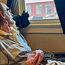 Skylar is registered to the contest to win money with this photo: elderly_man, cat, window, indoor, glasses, curtains, relaxing, seated, casual_clothing, beard, hands, belt, light, shadow, side_profile, peaceful, domestic, quiet, contemplation, home