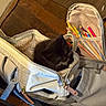 animal, backpack, black_cat, colored_pencils, container, cozy, curious, cute, furniture, furry, home, indoor, kitten, pet, resting, small, stationery, striped_lining, wooden_floor, zipper