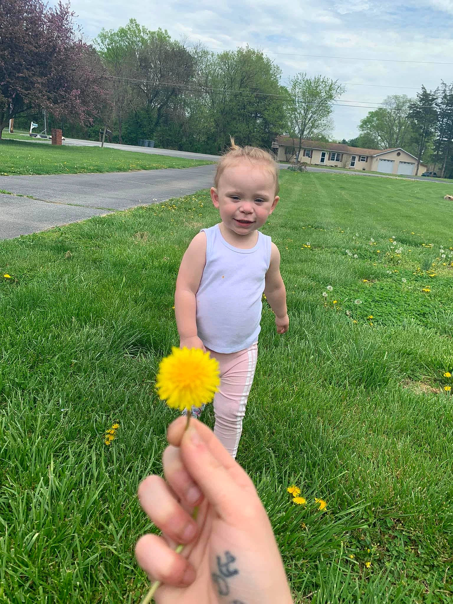 Azura joined the competition — help win amazing prizes! botany, cloud, flower, flowering_plant, grass, grass_family, grassland, happy, lawn, leaf, meadow, natural_environment, people_in_nature, person, petal, plant, sky, smile, summer, toddler