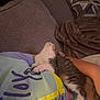 Pretty joined the competition — help win amazing prizes! cat, tabby_cat, sleeping, person, tshirt, couch, blanket, indoor, cozy, snuggling, resting, arm, comfort, feline, pet, relaxation, fabric, soft, home, casual