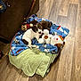 puppy, dog, blanket, plush_toy, monkey_toy, stuffed_animal, floor, wooden_floor, pet_bed, green_blanket, blue_blanket, indoor, cute, pet, animal, resting, young_dog, brown_and_white, toy, cozy