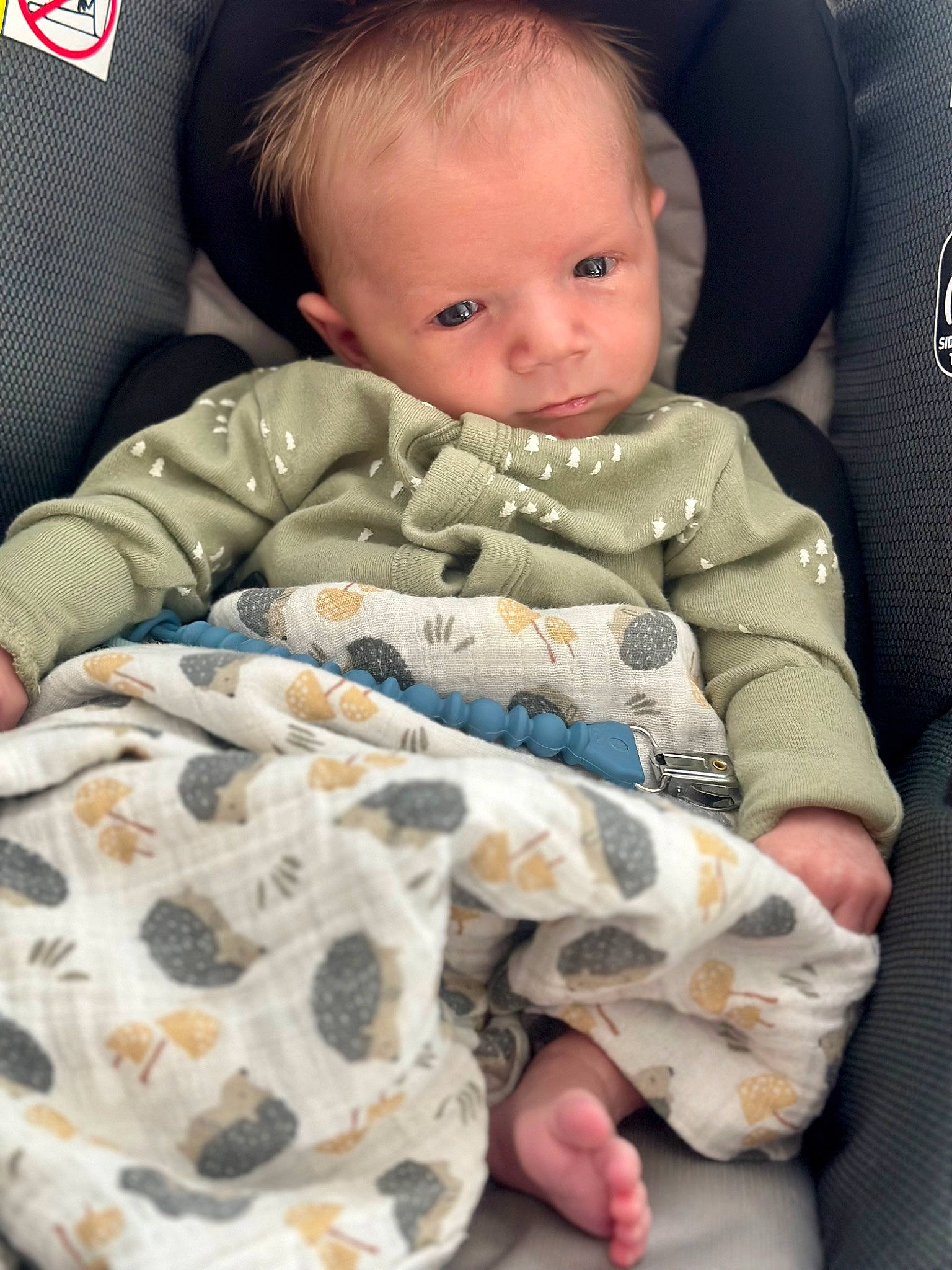 Castiel joined the competition — help win amazing prizes! baby, baby_in_car_seat, baby_products, baby_safety, baby_sleeping, baby_toddler_clothing, bedding, car_seat, car_seat_cover, cheek, child, comfort, face, head, linens, person, sitting, skin, sleeve, toddler