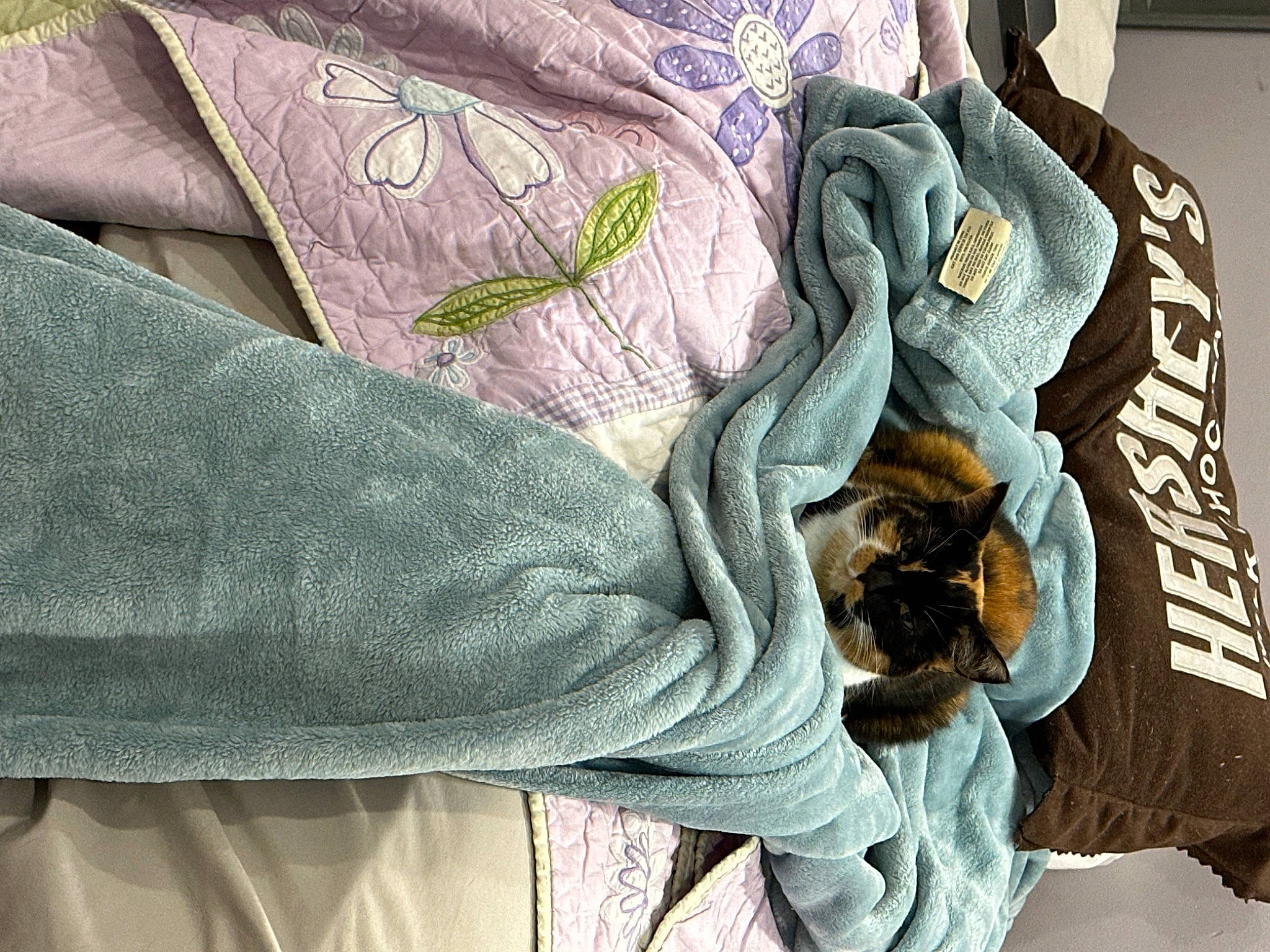 Katy Purry is registered to the contest to win money with this photo: bag, collar, comfort, denim, fashion_accessory, fashion_design, font, fur, grey, linens, outerwear, pattern, pocket, sleeve, sportswear, t_shirt, textile, top, uniform