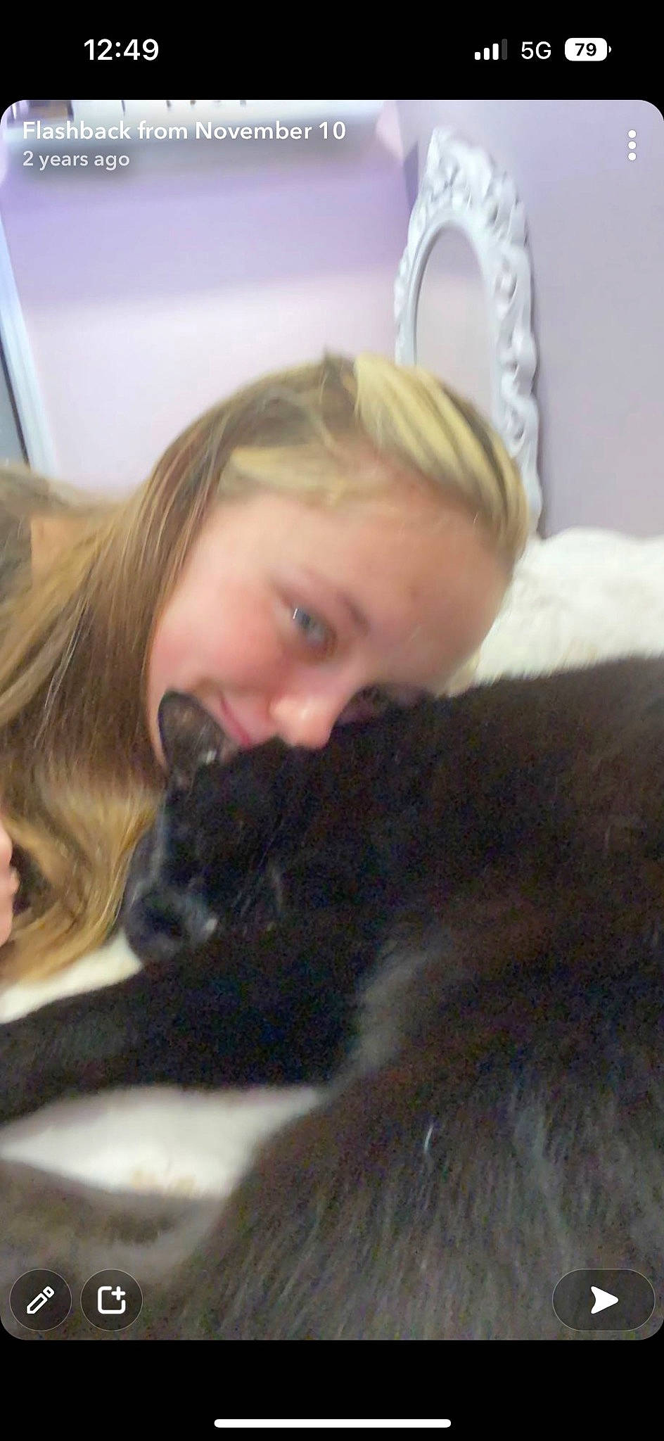 Herbie joined the competition — help win amazing prizes! canidae, carnivore, cat, comfort, companion_dog, dog_breed, domestic_short_haired_cat, ear, felidae, fun, fur, gesture, hair, lap, long_hair, nap, neck, room, small_to_medium_sized_cats, whiskers