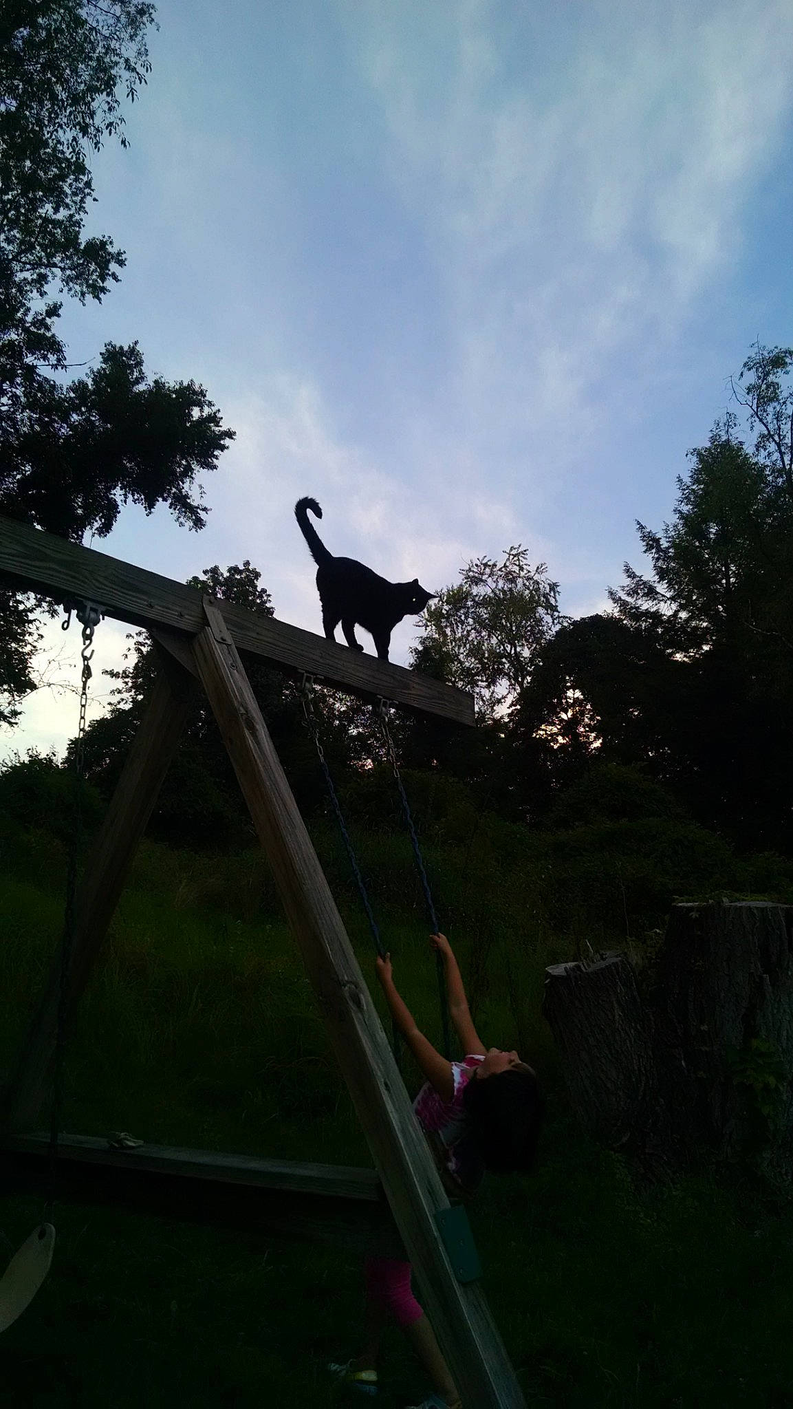 Herbie joined the competition — help win amazing prizes! canidae, carnivore, cloud, evening, grass, jungle, ladder, landscape, leisure, plant, pole, recreation, shade, shadow, sky, sporting_group, tail, terrestrial_animal, tree, wildlife