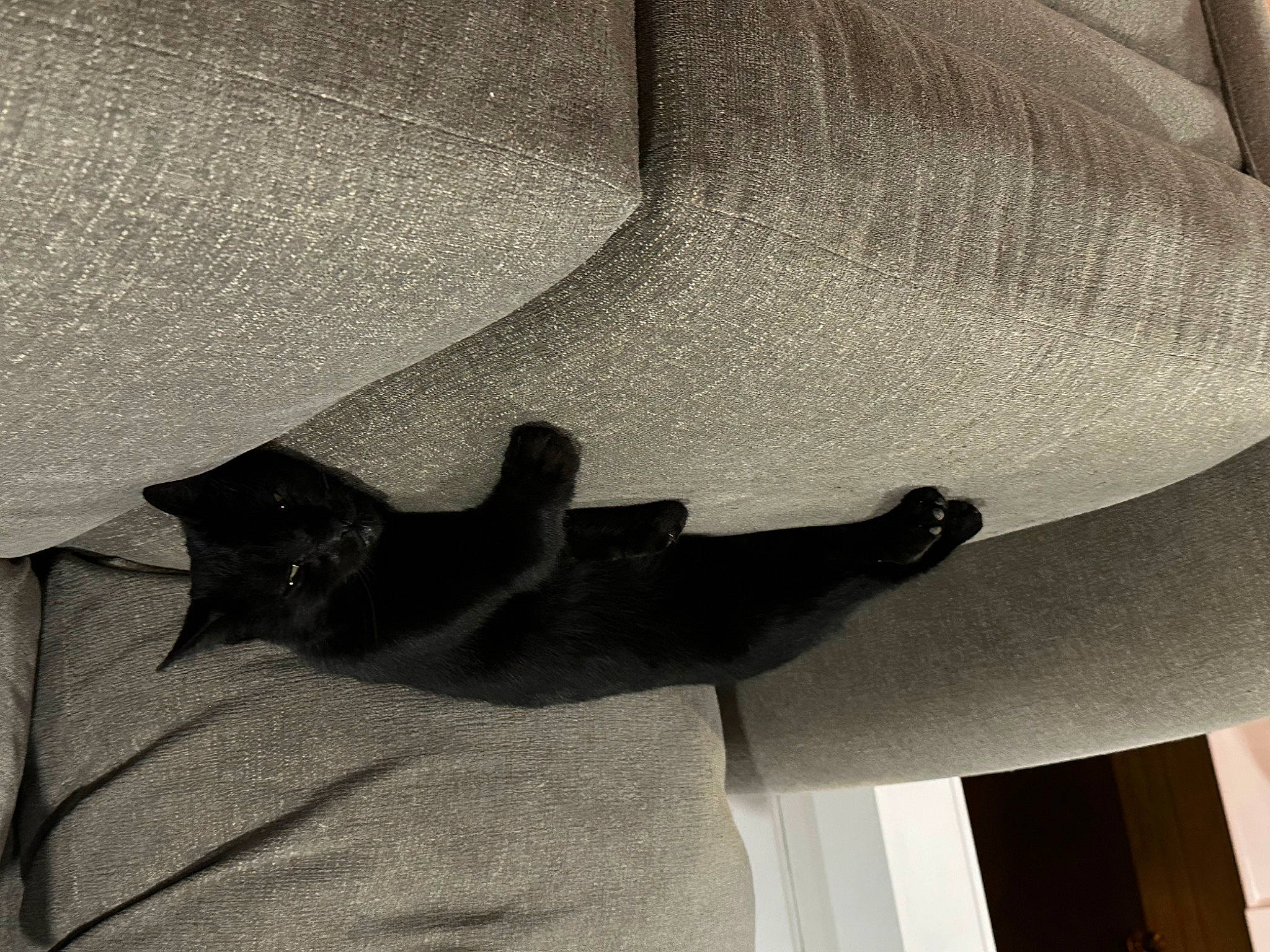 Andy joined the competition — help win amazing prizes! ceiling, comfort, elbow, gesture, grey, human_leg, linens, monochrome, monochrome_photography, pattern, petal, plant, room, sculpture, shade, shadow, thigh, tints_and_shades, waist, wood