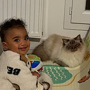 Qassim participe au concours pour gagner de l'argent avec cette photo : child, toddler, smiling, fuzzy_jacket, indoor, cat, fluffy_cat, play_mat, toy, happy, curly_hair, cozy, cute, pet, animal, window, radiator, socks, colorful, home