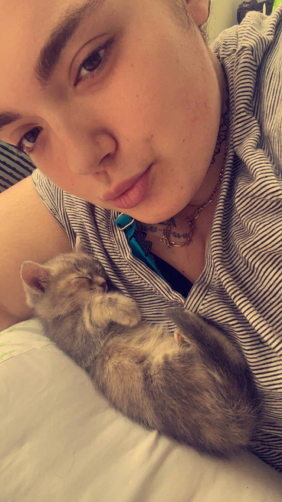 Duchess is registered to the contest to win money with this photo: carnivore, cat, comfort, companion_dog, domestic_short_haired_cat, ear, eyelash, fawn, felidae, fur, gesture, happy, jewellery, nose, paw, sand, selfie, skin, small_to_medium_sized_cats, whiskers