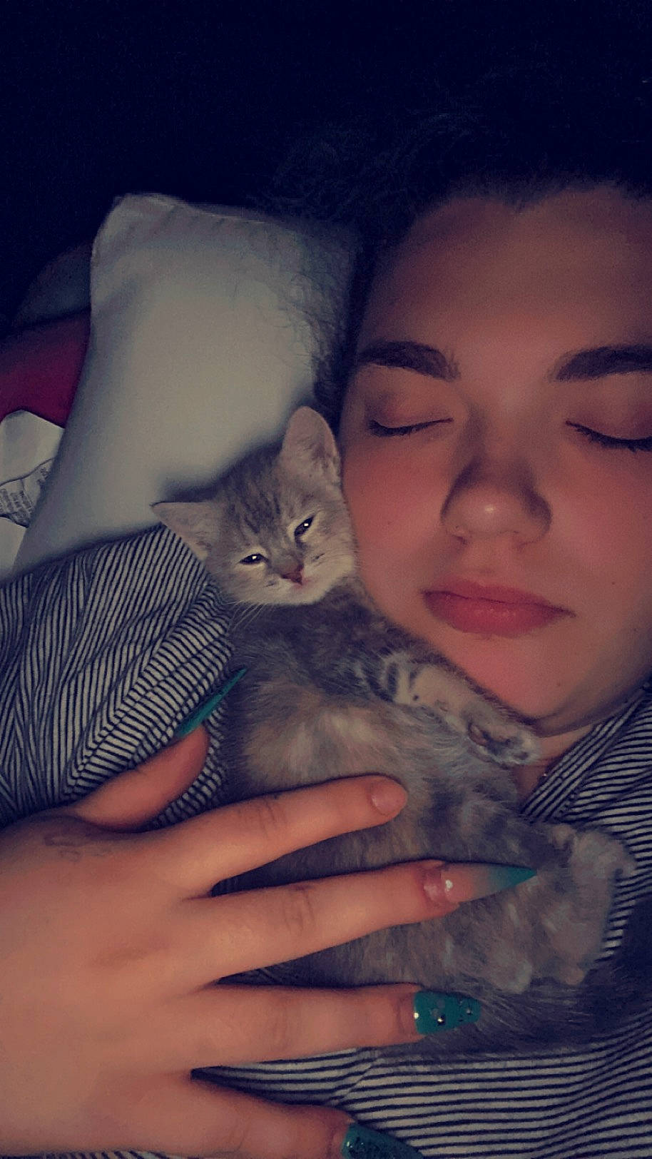 Duchess joined the competition — help win amazing prizes! carnivore, cat, cloud, comfort, ear, eyebrow, eyelash, felidae, finger, gesture, hand, head, iris, mammal, nose, skin, small_to_medium_sized_cats, textile, vertebrate, whiskers