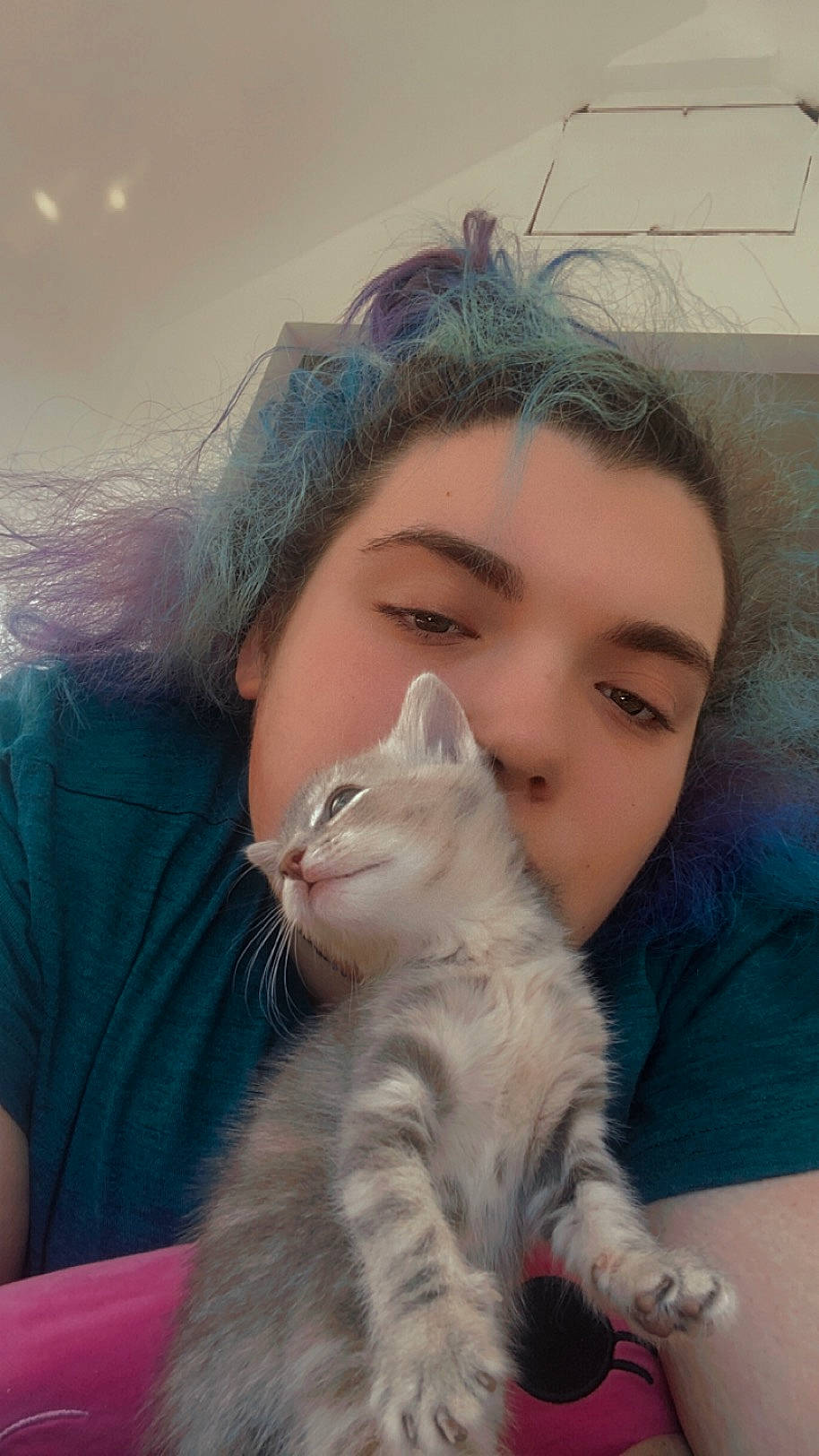 Duchess joined the competition — help win amazing prizes! carnivore, cat, child, claw, comfort, domestic_short_haired_cat, ear, fawn, felidae, fur, gesture, grass, happy, hug, paw, sitting, skin, small_to_medium_sized_cats, tail, whiskers