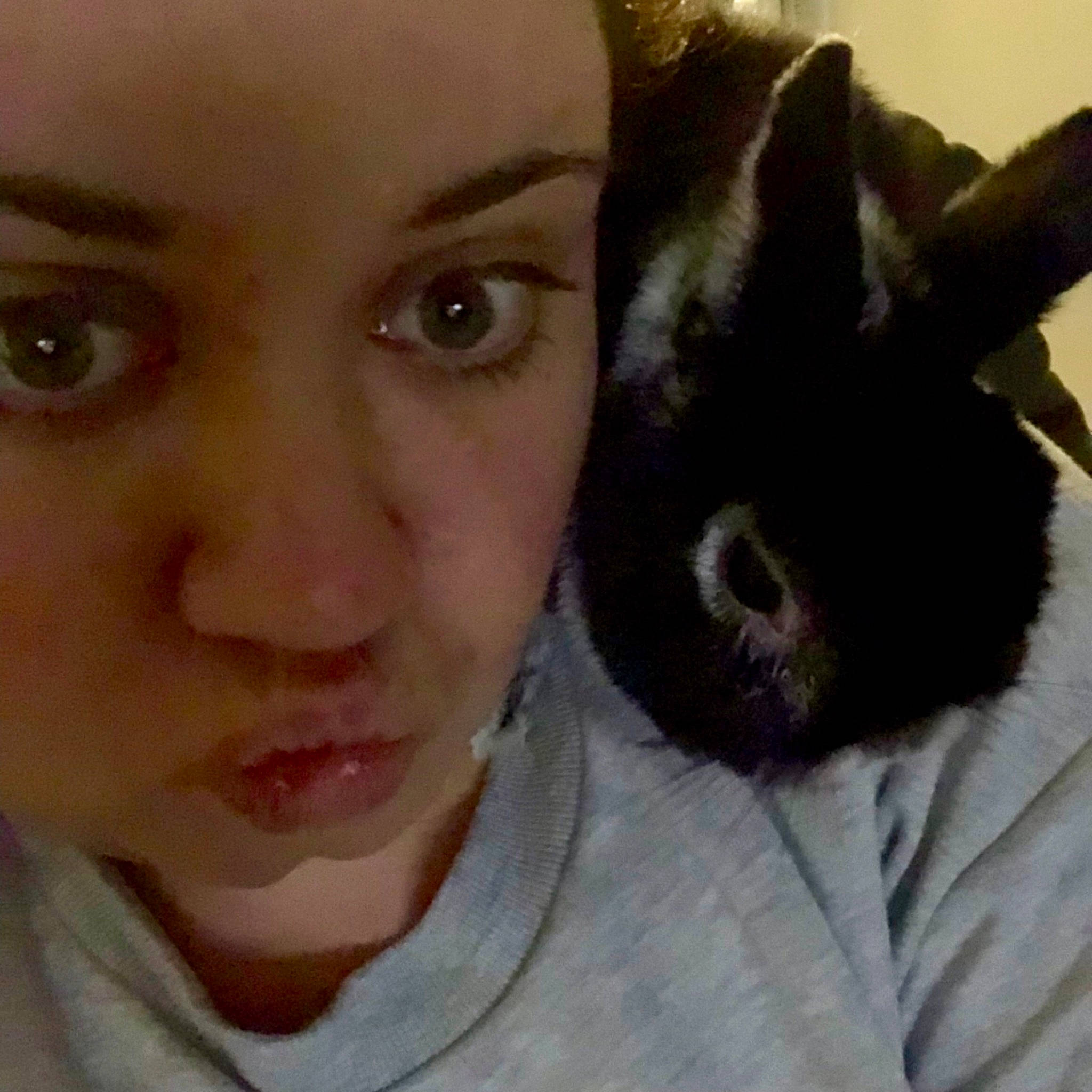 Messi a rejoint le concours — aidez-le/la à gagner de superbes lots ! black_hair, cheek, ear, eye, eyebrow, face, fawn, forehead, fur, head, headwear, jaw, lip, mouth, nose, person, photography, selfie, smile, snout