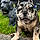 Rylo
