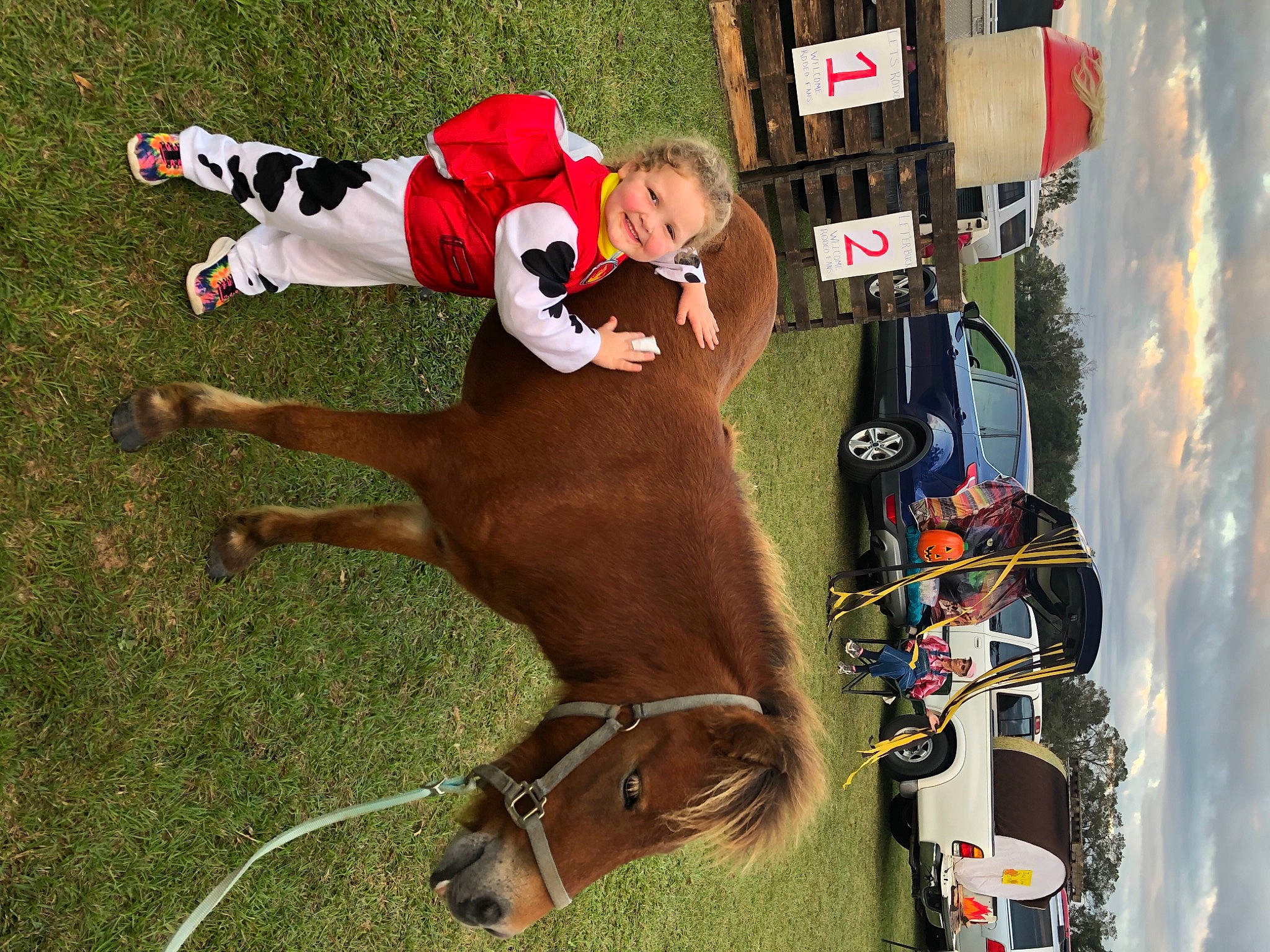 Emerie joined the competition — help win amazing prizes! animal_sports, bit, bridle, cool, halter, horse, horse_supplies, horse_tack, joy, leash, liver, livestock, mane, mare, muscle, person, pet_supply, rein, snout, sorrel