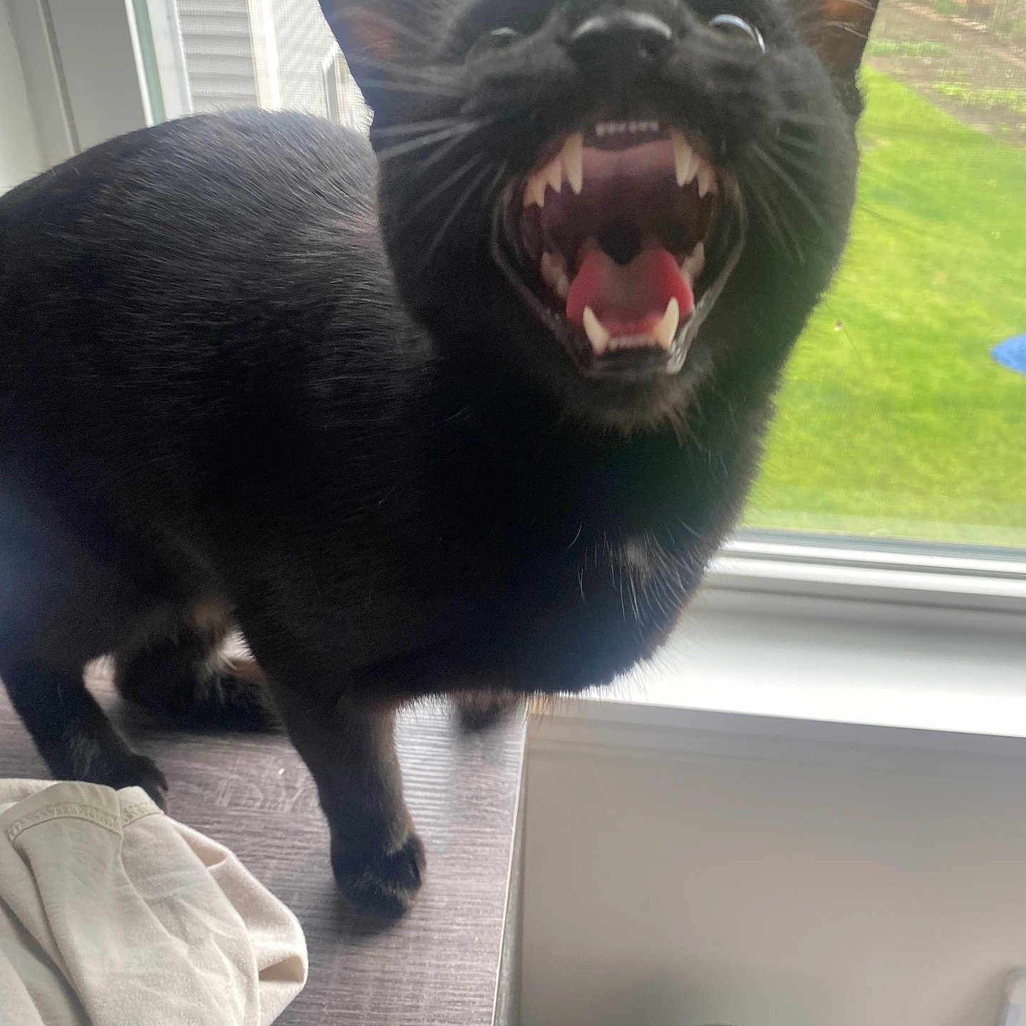 Binx