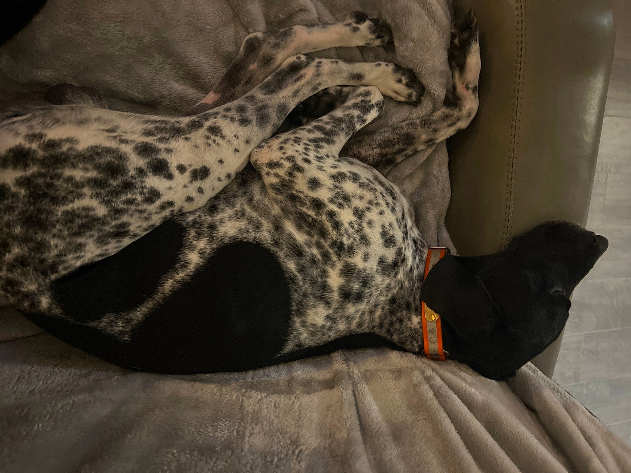 Mountain Thunderstorms