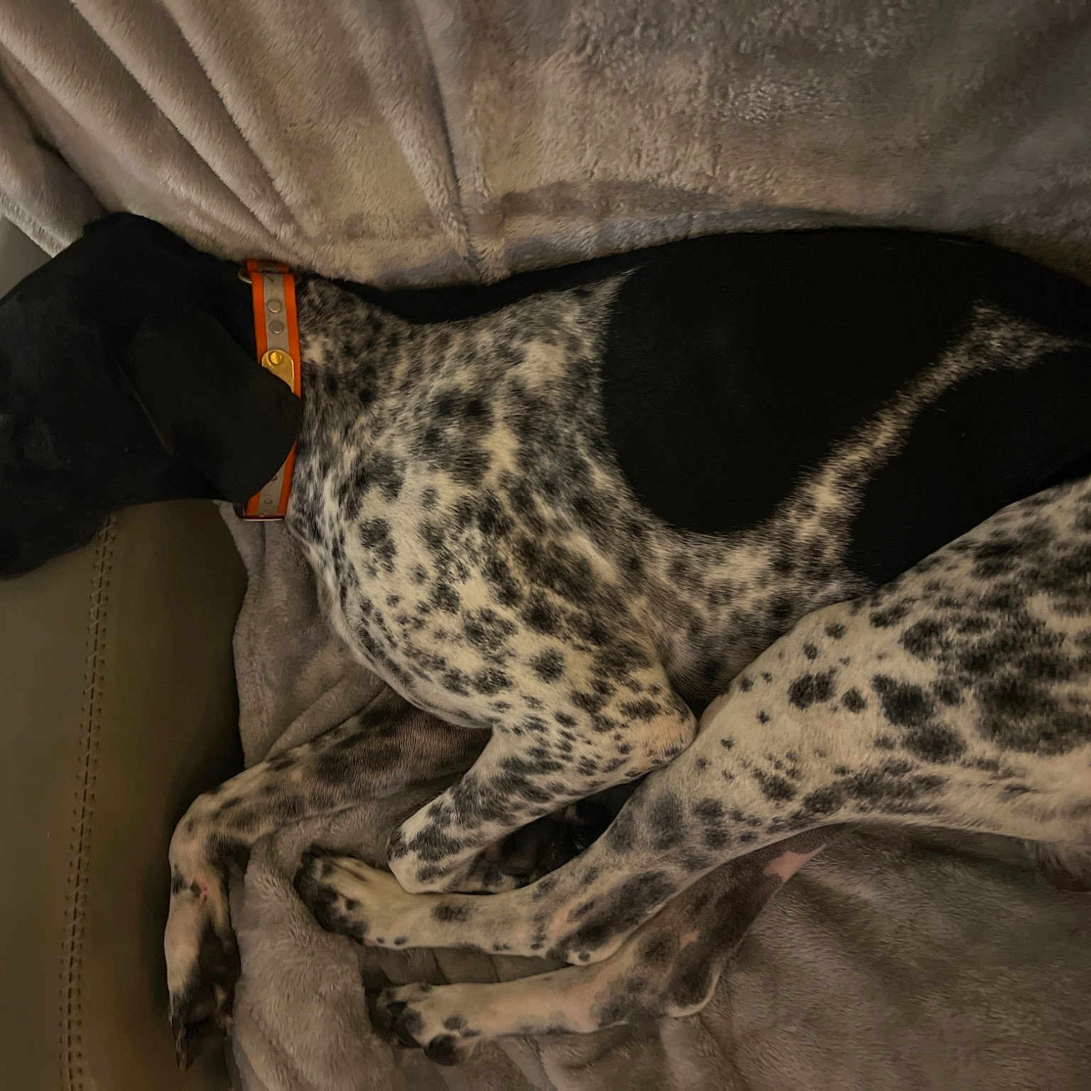 Mountain Thunderstorms