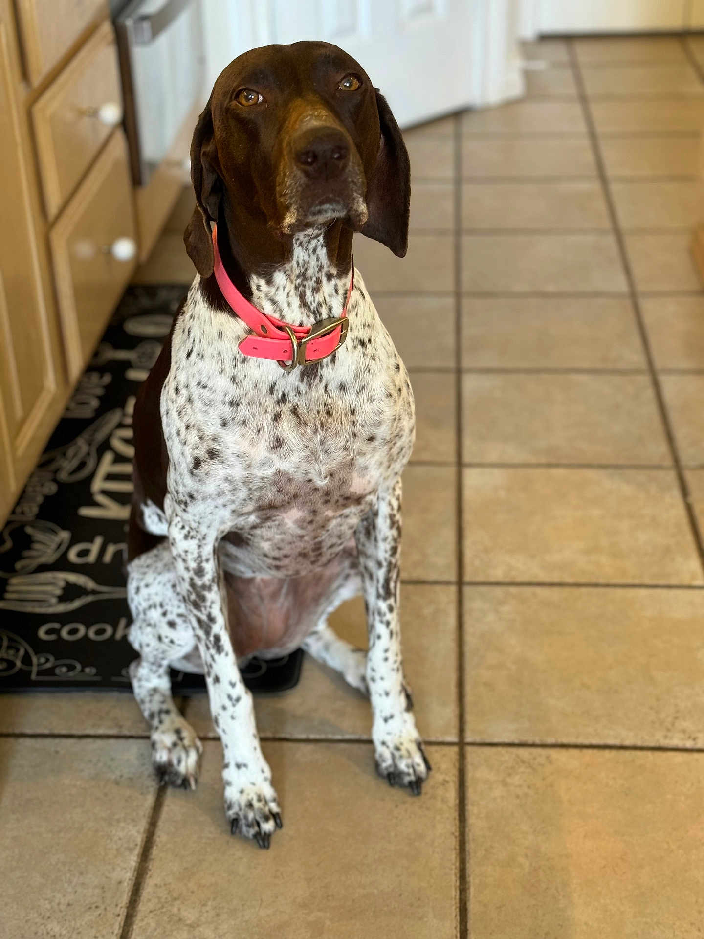 Dixie