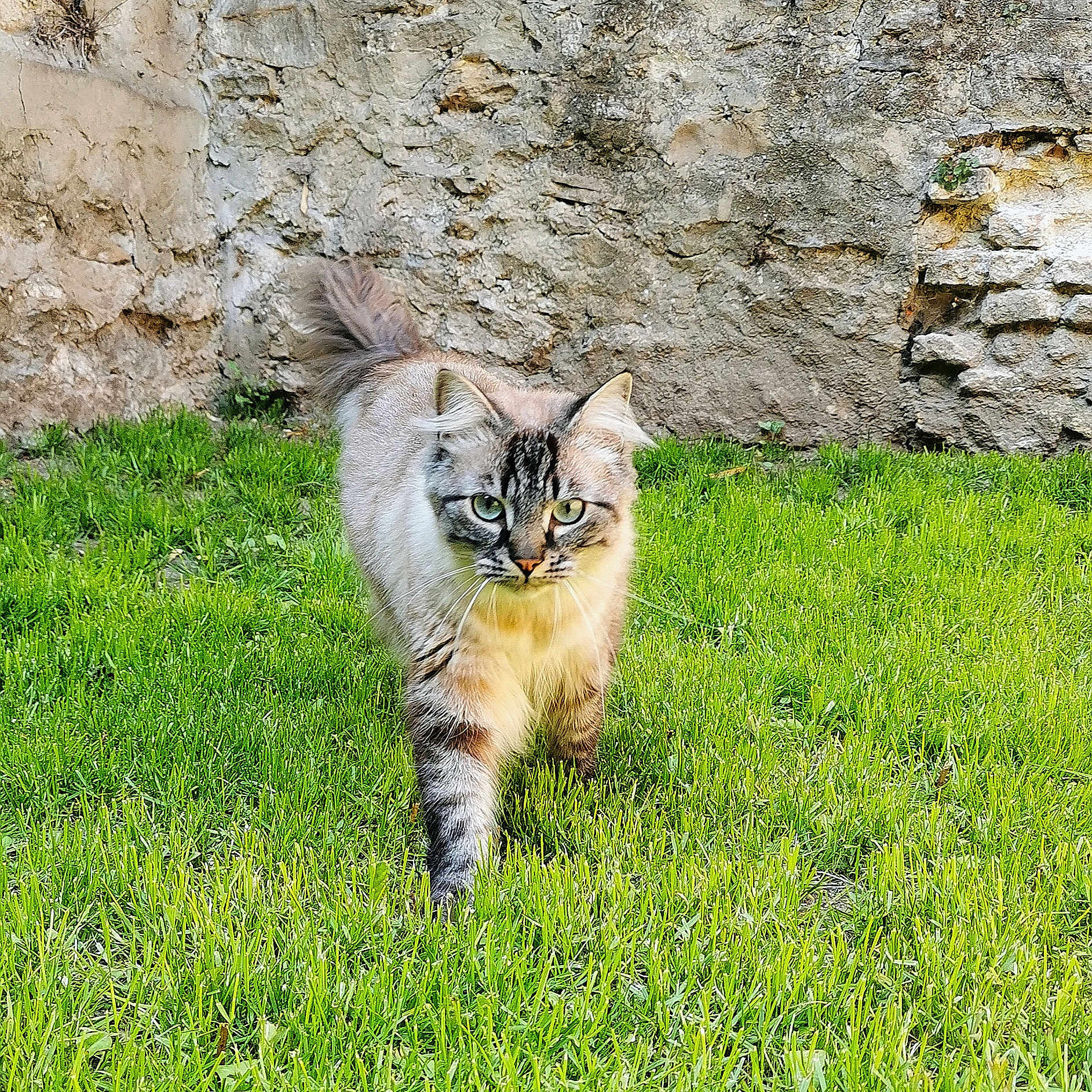 Alby