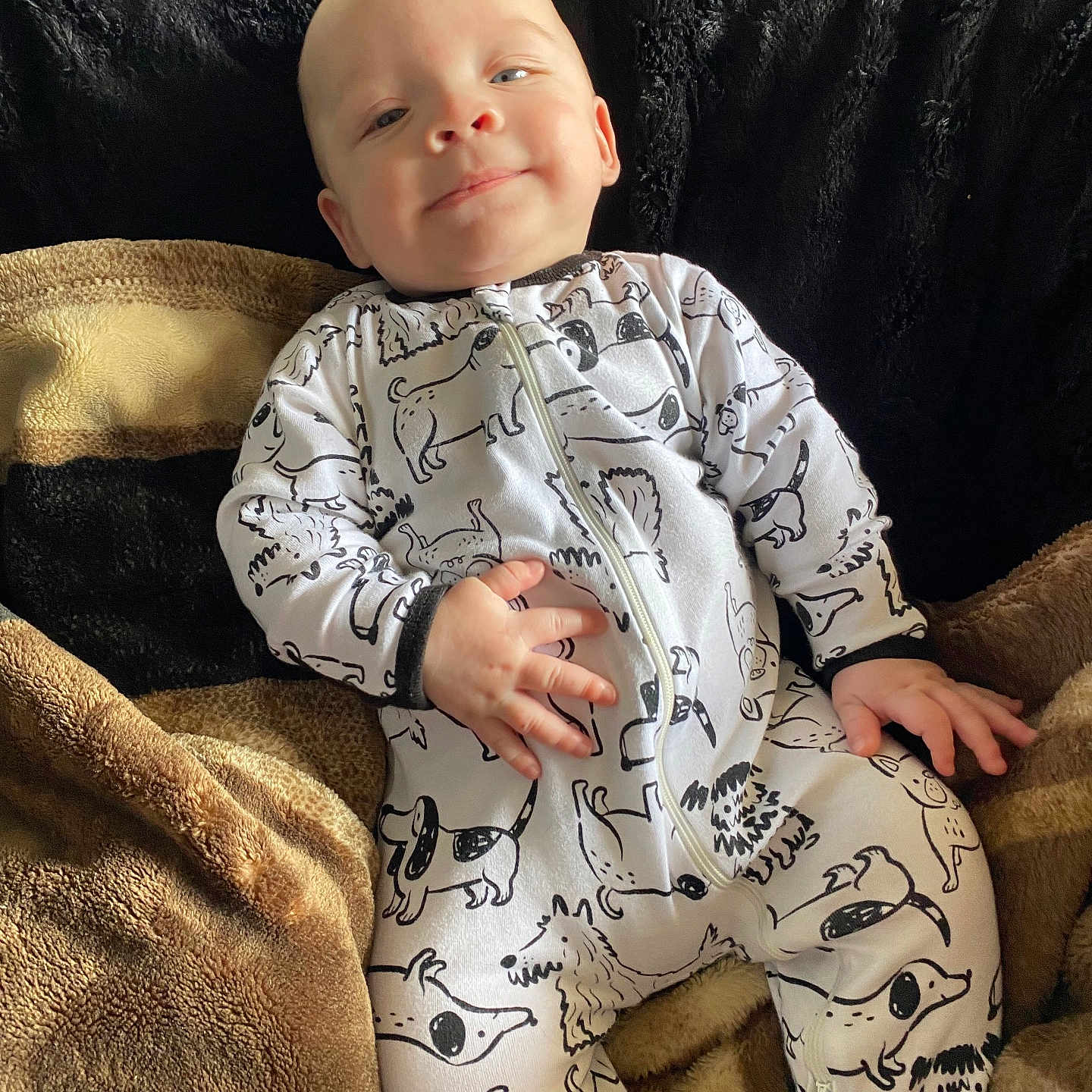 Damon joined the competition — help win amazing prizes! baby, infant, smile, onesie, dog_pattern, blanket, cozy, indoors, child, cute, happy, relaxed, portrait, hand, face, sitting, soft_texture, warm, young_child, clothing