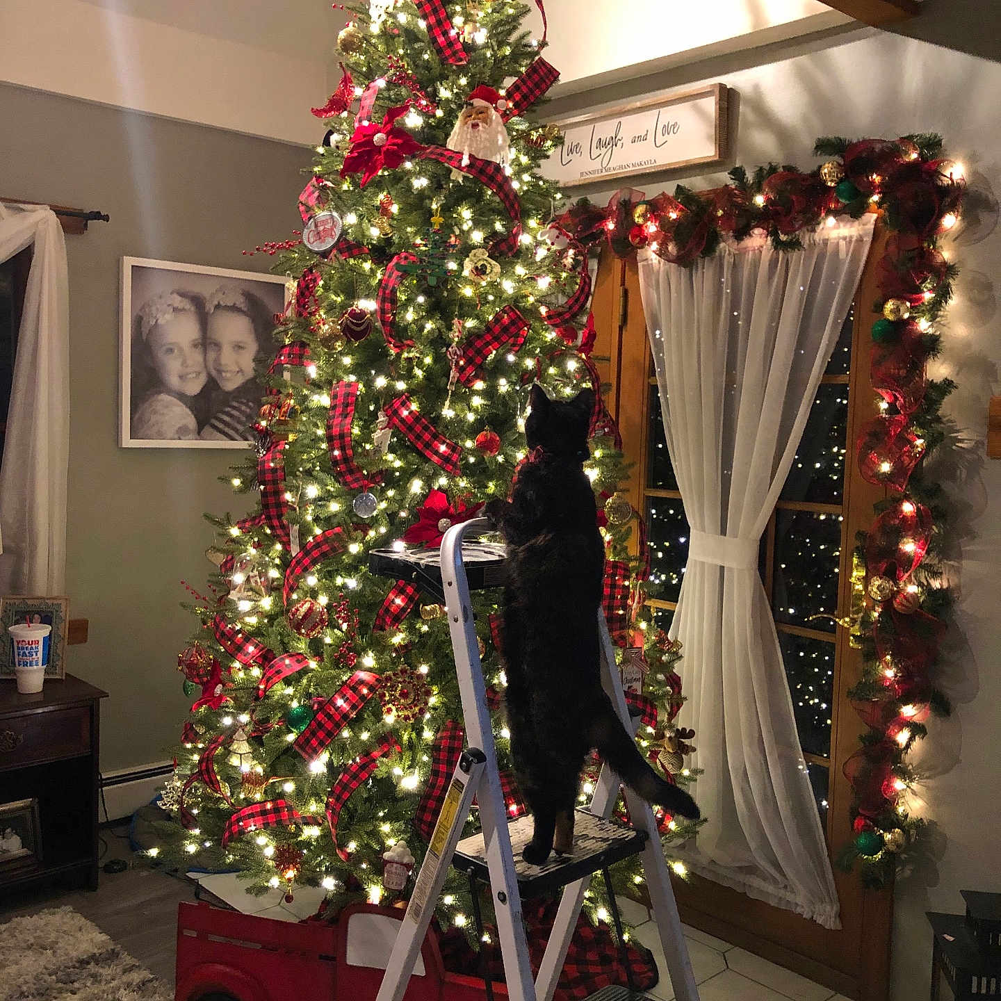 Sparkplug is registered to the contest to win money with this photo: black_cat, carpet, cat, christmas_tree, curtains, decorative_sign, festive, floor, garland, holiday_decor, indoors, lights, living_room, night, ornaments, picture_frame, ribbon, step_ladder, window, wooden_furniture