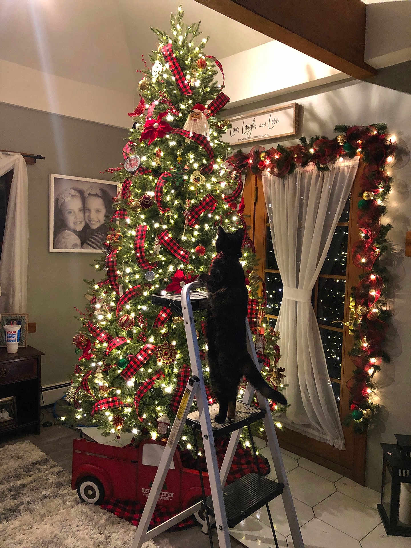 Sparkplug is registered to the contest to win money with this photo: cat, christmas_tree, step_ladder, holiday_decor, lights, ribbon, living_room, window, curtains, garland, ornaments, black_cat, floor, carpet, wooden_furniture, picture_frame, decorative_sign, festive, indoors, night
