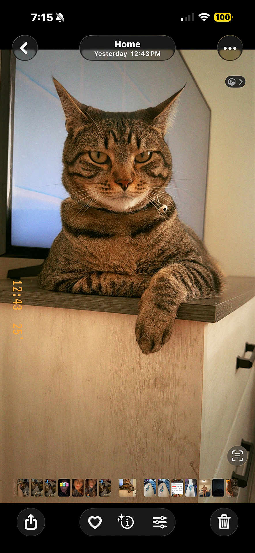 Jetty And Fiji is registered to the contest to win money with this photo: cat, tabby_cat, pet, paw, whiskers, collar, indoor, furniture, dresser, wooden_surface, tv_screen, screenshot, smartphone_ui, timestamp, cozy, portrait, close_up, relaxed, alert_ears, feline_expression