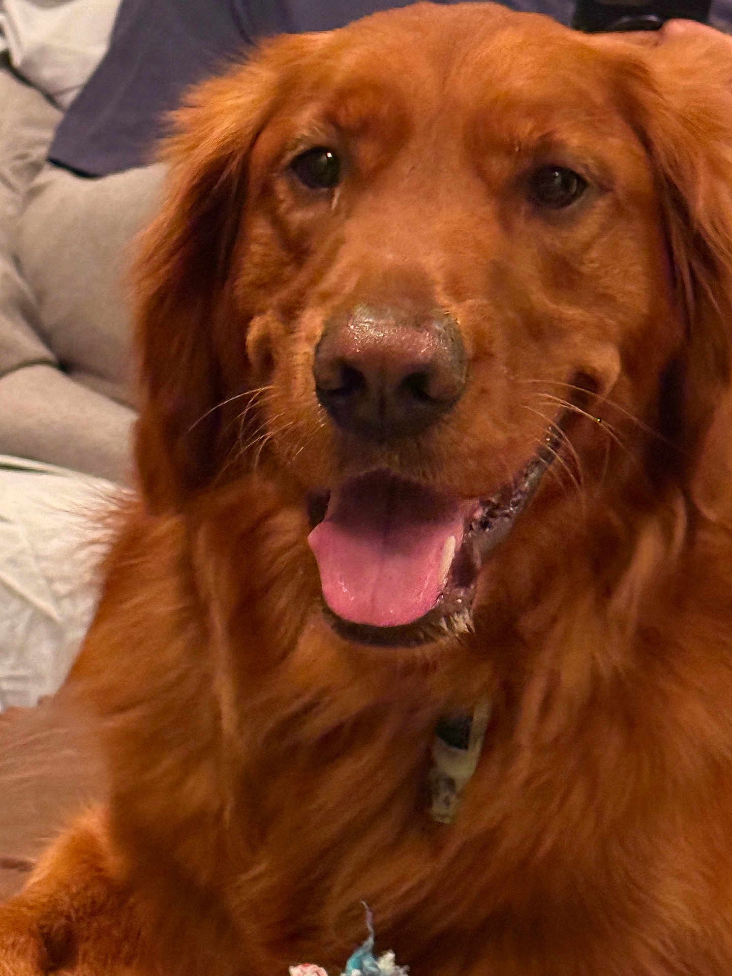 Beau