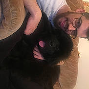 Luna is registered to the contest to win money with this photo: beard, black_hair, carnivore, chin, comfort, companion_dog, dog_breed, ear, gesture, glasses, happy, hat, human_body, jaw, mouth, neck, nose, skin, sunglasses, vision_care