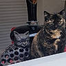 animal, black, brown, cat, chair, closeup, curtain, decor, face, furniture, indoor, orange, pet, sculpture, sitting, still_life, table, tortoiseshell_cat, vase, window
