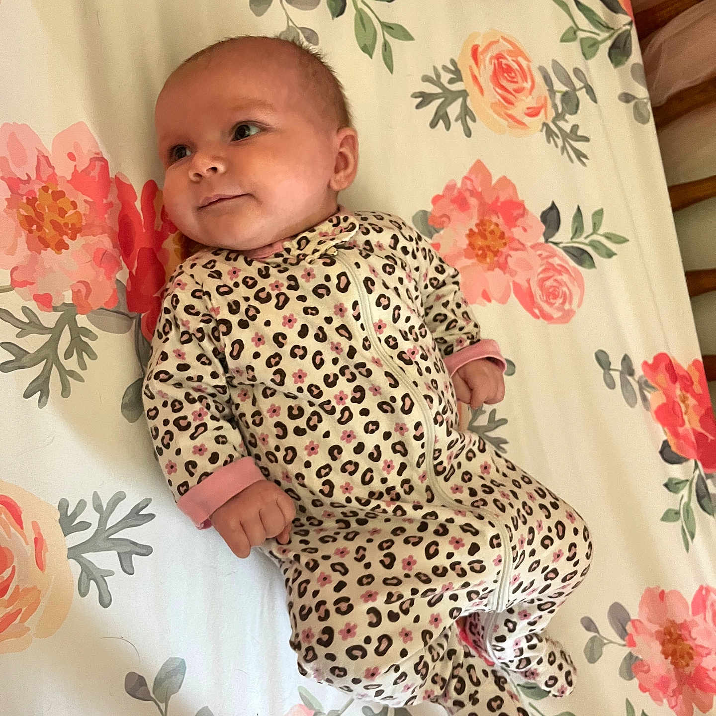 Jillian is registered to the contest to win money with this photo: baby, bed, blanket, clothing, crib, dress, face, flower, furniture, head, homedecor, infantbed, newborn, pajamas, pattern, person, photography, plant, portrait, rose