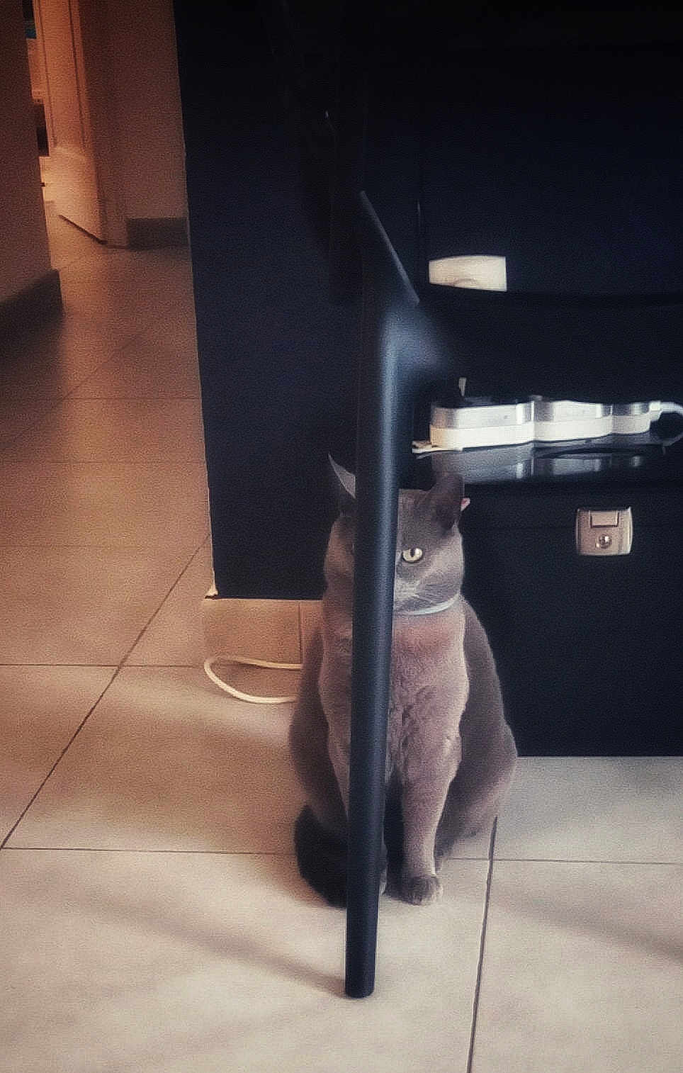 Lilou